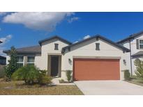 Charming single-story home features a well-manicured lawn, neutral paint, and a two-car garage at 13515 Palmera Vista Dr, Riverview, FL 33579