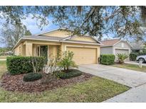 Charming single-Gathering home featuring a well-manicured lawn and an attached two-car garage at 18155 Canal Pointe St, Tampa, FL 33647