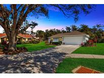 Charming single-story home with lush lawn, mature tree, and two-car garage, bathed in warm light at 37157 Foxrun Pl, Zephyrhills, FL 33542