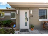 Charming home featuring a modern front door, stylish lighting and manicured landscaping at 2510 Chapel Way, Tampa, FL 33618