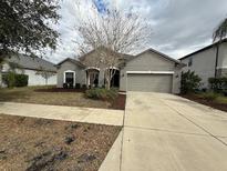 Charming one-story home featuring a well-manicured front yard and a two-car garage at 2916 Shetland Ridge Dr, Valrico, FL 33596