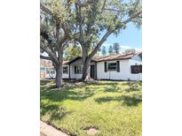 Updated single story home with a large front yard and mature trees at 1800 Montana Ne Ave, St Petersburg, FL 33703