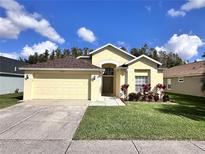 Front view of a single-story house with a two-car garage and well-maintained lawn at 31207 Chatterly Dr, Wesley Chapel, FL 33543