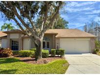 Brick house with 2-car garage, landscaping, and a tree in the front yard at 5930 Precious View Ct, New Port Richey, FL 34655