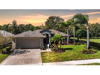 Single-story house with attached garage, landscaping, and palm trees at 1533 Westerham Loop, Trinity, FL 34655