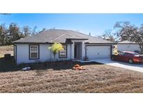 Single story home with gray exterior, two car garage, and small yard at 11380 Old Squaw Ave, Weeki Wachee, FL 34614