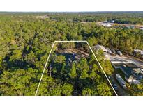 Aerial view showing home's private location with surrounding trees at 7376 Fall St, Brooksville, FL 34613