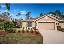 Tan house with two-car garage, landscaping, and walkway at 9609 Brookdale Dr, New Port Richey, FL 34655