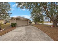 House exterior features a two-car garage and a paved driveway at 12113 Pepper Creek Ct, Riverview, FL 33579
