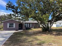 Cute ranch home with a large tree in the front yard at 8488 Fowler Ln, Spring Hill, FL 34608