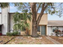 Tan two-story townhome with green door, landscaping, and large tree at 4712 Stonepointe Pl, Tampa, FL 33634