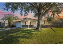 House exterior featuring a large tree, manicured lawn, and American flag at 6920 Medlar Dr, New Port Richey, FL 34653
