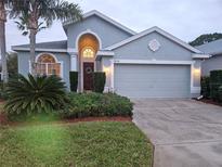 Attractive one-story home with two-car garage and landscaped yard at 9250 Alcott Way, Trinity, FL 34655