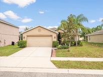 Tan house with a two-car garage and landscaped lawn at 18732 Dobson Dr, Hudson, FL 34667