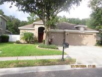 Attractive single-story home with a two-car garage and well-manicured lawn at 9330 Edistro Pl, New Port Richey, FL 34654