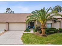 Attractive exterior of a villa with a palm tree and landscaped lawn at 18709 Bent Pine Dr, Hudson, FL 34667