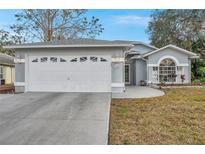 Gray house with white garage door, landscaping, and a paved driveway at 10830 Brookhaven Dr, New Port Richey, FL 34654