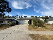 Single-story house with a screened garage and palm trees in the front yard at 8111 Merrimac Dr, Port Richey, FL 34668