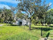 Spacious backyard with chain link fence and mature trees at 2013 Finland Dr, Spring Hill, FL 34609