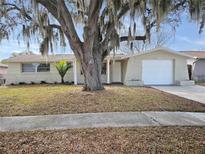 House exterior featuring a light-colored brick facade, a large tree, and a driveway at 6216 7Th Ave, New Port Richey, FL 34653