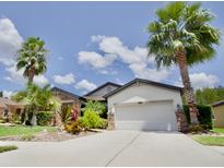 House exterior featuring a two-car garage and well-manicured landscaping at 8424 Bluevine Sky Dr, Land O Lakes, FL 34637