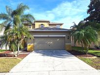 Two-story house with a two-car garage and palm trees at 9142 Bell Rock Pl, Land O Lakes, FL 34638
