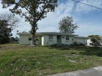 Ranch style home with a large yard and mature tree at 13737 Michelle Ave, Hudson, FL 34667