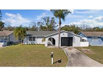 Charming single-story home with a well-maintained lawn and beautiful palm trees at 7431 Abington Ave, New Port Richey, FL 34655