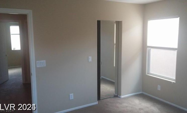 Photo #33