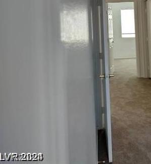 Photo #24