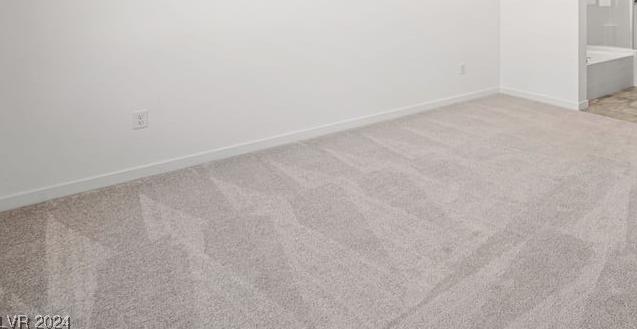 Photo #16