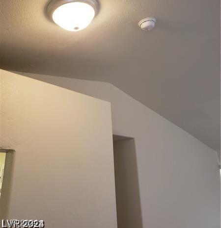 Photo #42