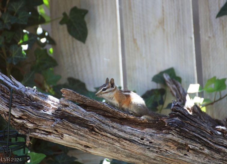 Photo #57