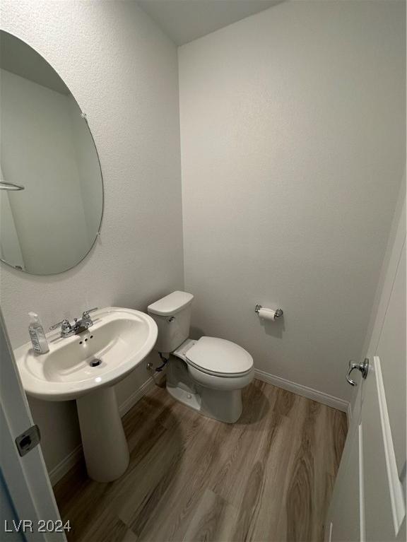 Photo #11