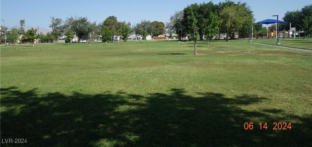 Photo #60