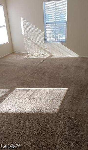 Photo #12
