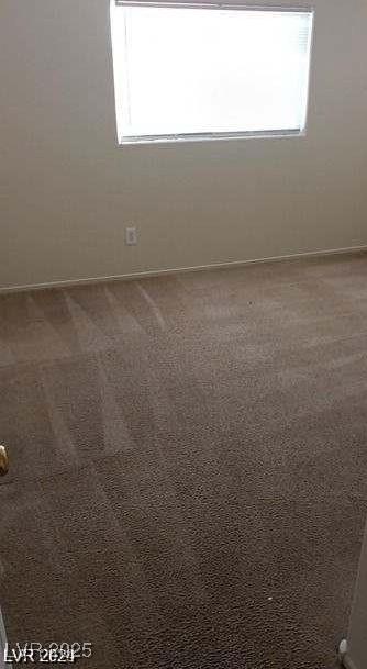 Photo #15