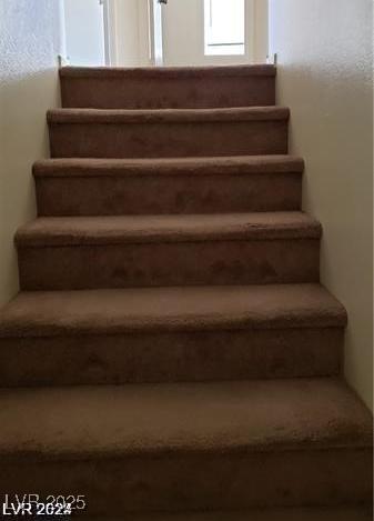 Photo #22