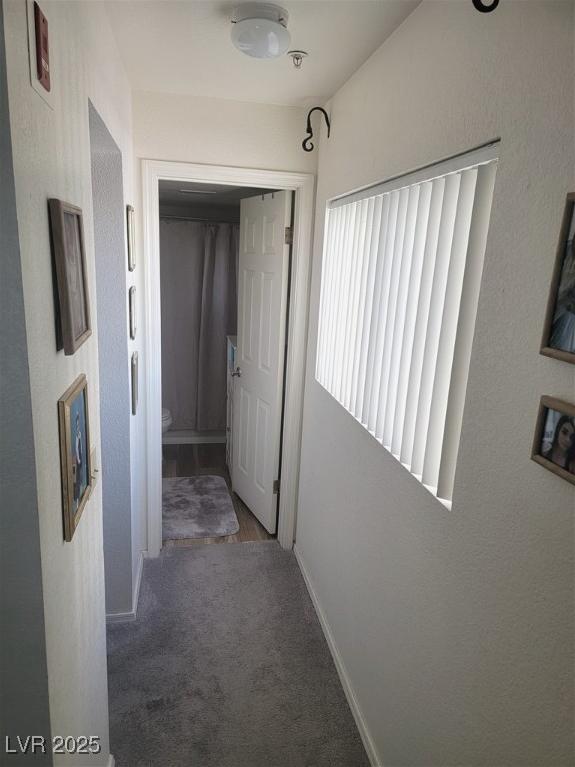 Photo #22