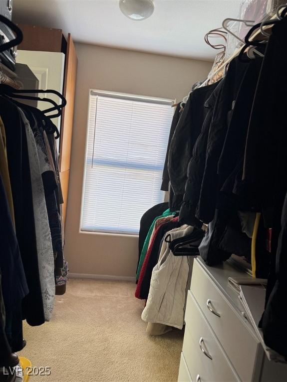 Photo #57