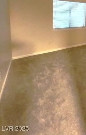 Photo #24