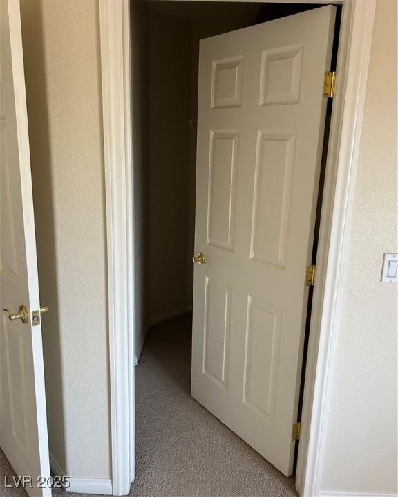 Photo #43