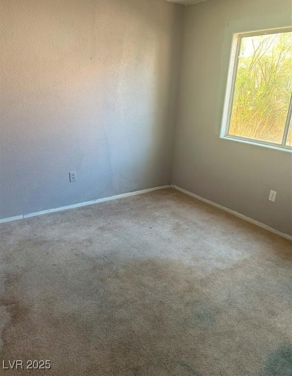 Photo #4