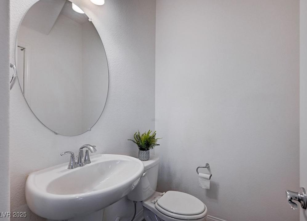 Photo #14