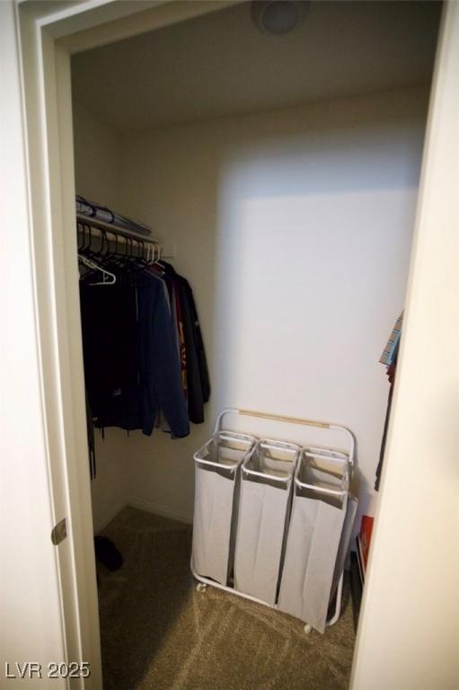 Photo #31