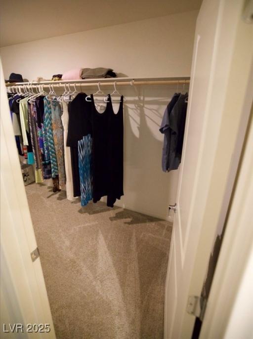 Photo #38