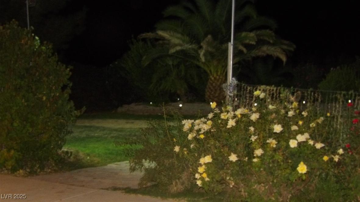 Photo #62