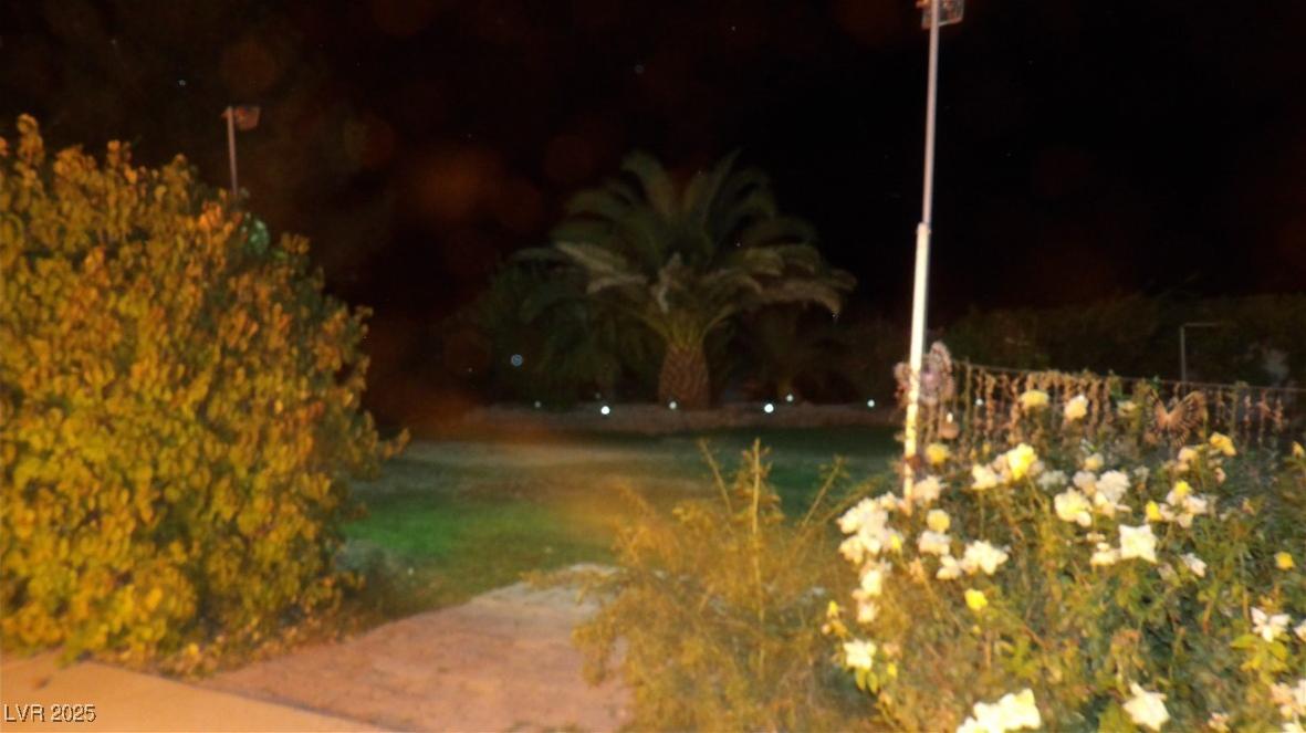 Photo #61
