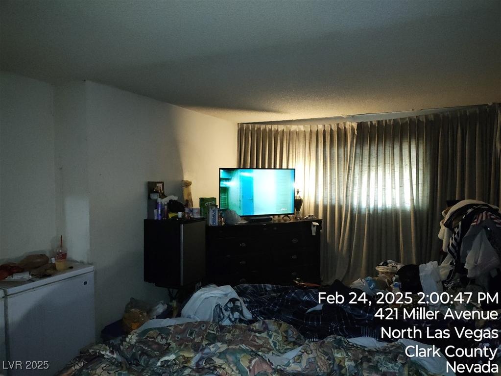 Photo #15