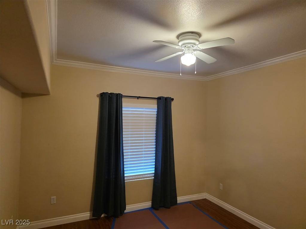 Photo #8
